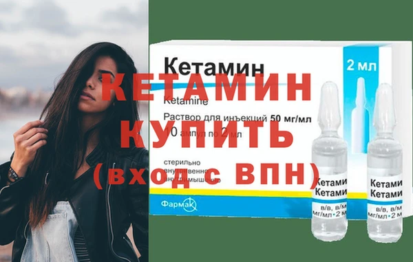 гидра Богородицк