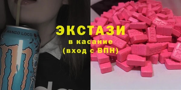 гидра Богородицк