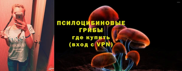ПСИЛОЦИБИНОВЫЕ ГРИБЫ Белоозёрский