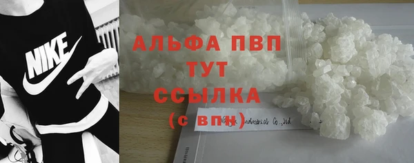 ECSTASY Богородск