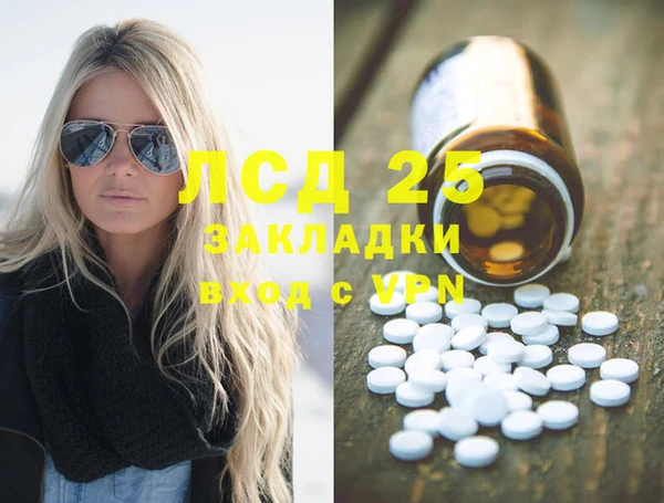 ПСИЛОЦИБИНОВЫЕ ГРИБЫ Белоозёрский