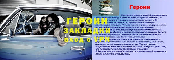 гидра Богородицк