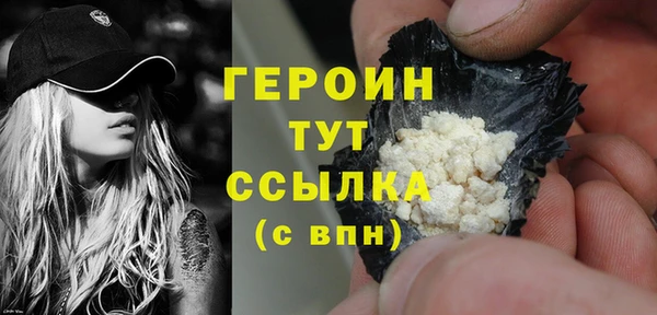 гидра Богородицк