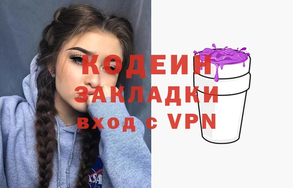 гидра Богородицк