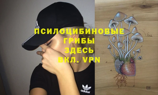 ПСИЛОЦИБИНОВЫЕ ГРИБЫ Белоозёрский