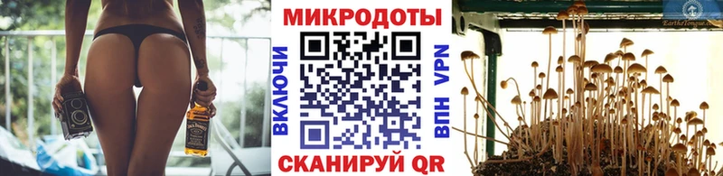 хочу   Верхняя Тура  Галлюциногенные грибы мицелий 